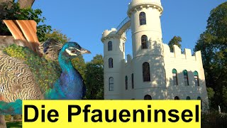 Die Pfaueninsel In Berlin - Nur Mit Der Fähre Zu Erreichen