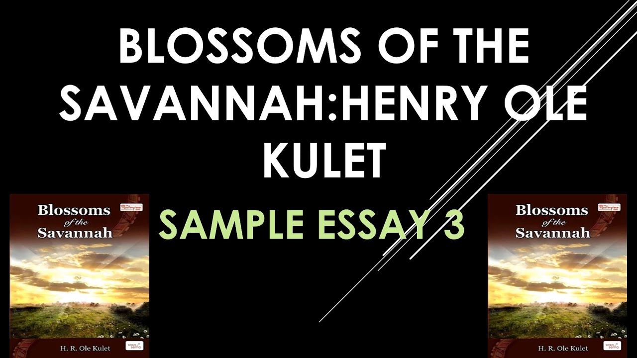 essay question and answers of blossoms of the savannah