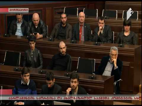 პარლამენტის სპორტისა და ახალგაზრდულ საქმეთა კომიტეტის სხდომა