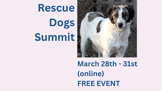 Rescue Dogs Summit [28 - 31 March] by Finn Paddy Dog Training 24 views 1 year ago 17 seconds