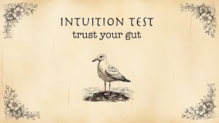 Intuition Test 🤩 | What did you get? 🤗