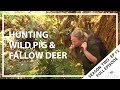Hunting Aotearoa S02EP12 - Wild Pig and Fallow Deer Hunt