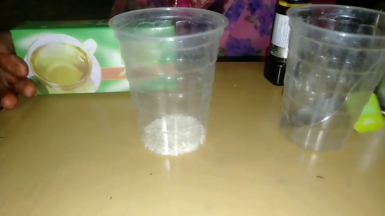 Modicare Green Tea Demo || Why should we drink green tea