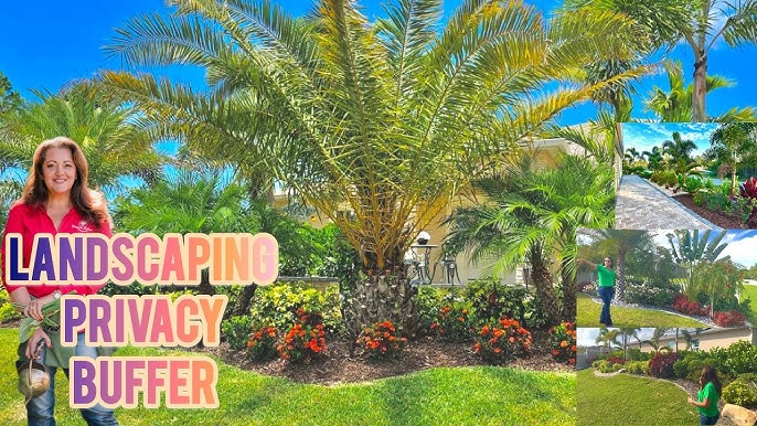 Backyard Bliss: 56 Easy & Affordable Landscaping Ideas for Dream Gardens 3 Backyard Bliss: 56 Easy & Affordable Landscaping Ideas for Dream Gardens