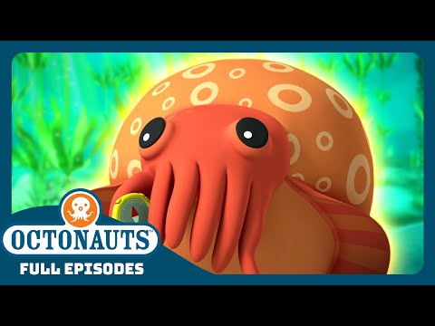@Octonauts - 🪸