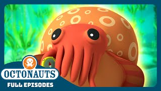 @Octonauts   The Crafty Crafty Cuttlefish  | Season 1 | Full Episodes | Cartoons for Kids