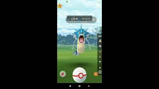 Catching Gyarados In Mega Raid Gym Battle Pokémon Go