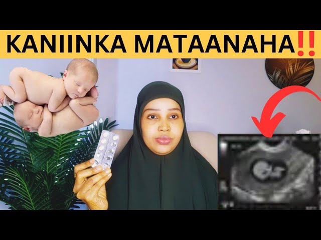 Mushuk ichidagi sik aks ettirilgan porno komikslar Rus Irene ishtirokidagi porno videolar