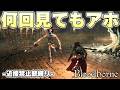 聖杯ダンジョンで爆走してくるバケモン貞子の正式名称は『守り人の狂人』【Bloodborne実況】