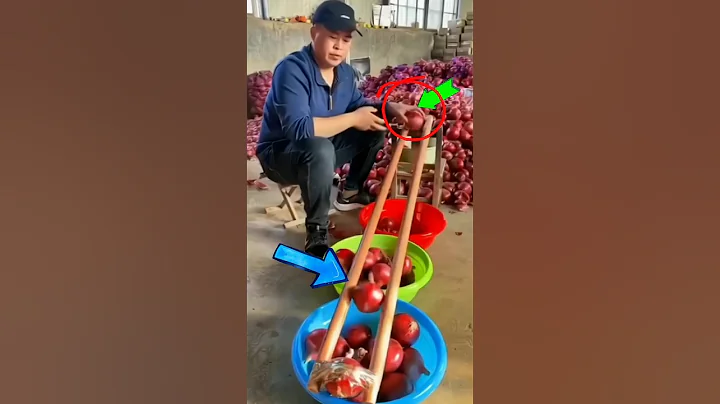 Modern Technique to Sort Onions & Fruits by Size | Smart Sorting Machine in Action! #shorts