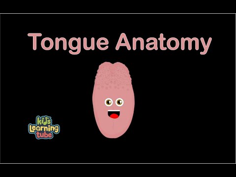 Human Body /Tongue Song/Human Body Systems