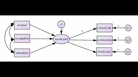 Multiple indictor-Multiple Cause (MIMIC) models using AMOS (Jan 2021)