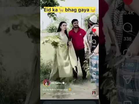 Eid ka 🐐 bhag gaya 🤣🤣