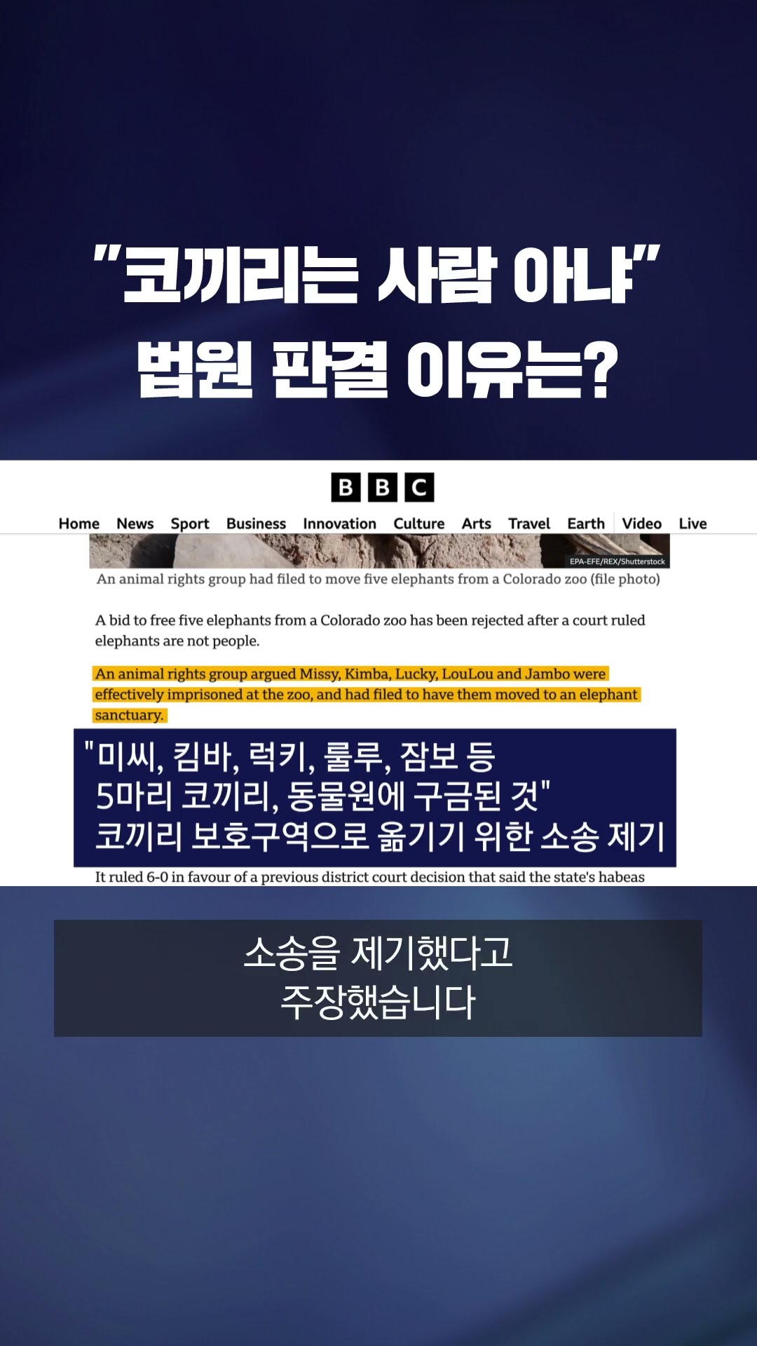 '코끼리는 사람이 아니다'…미국 법원의 판결 이유는? #shorts / KBS