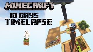 I Survived 10 Days On ONE BLOCK SKYBLOCK TIMELAPSE!