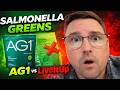 I Quit AG1 Then My New Greens Got Recalled For Salmonella AG1 Vs Live It Up I Quit AG1 Then My New Greens Got Recalled For Salmonella AG1 Vs Live It Up