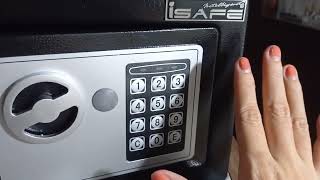 iSafe Digital Vault Setup (iSF-10) Plant