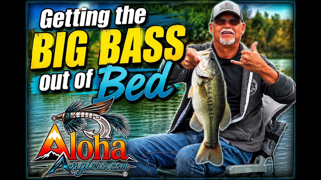 Getting the BIG BASS out of bed   HD 1080p