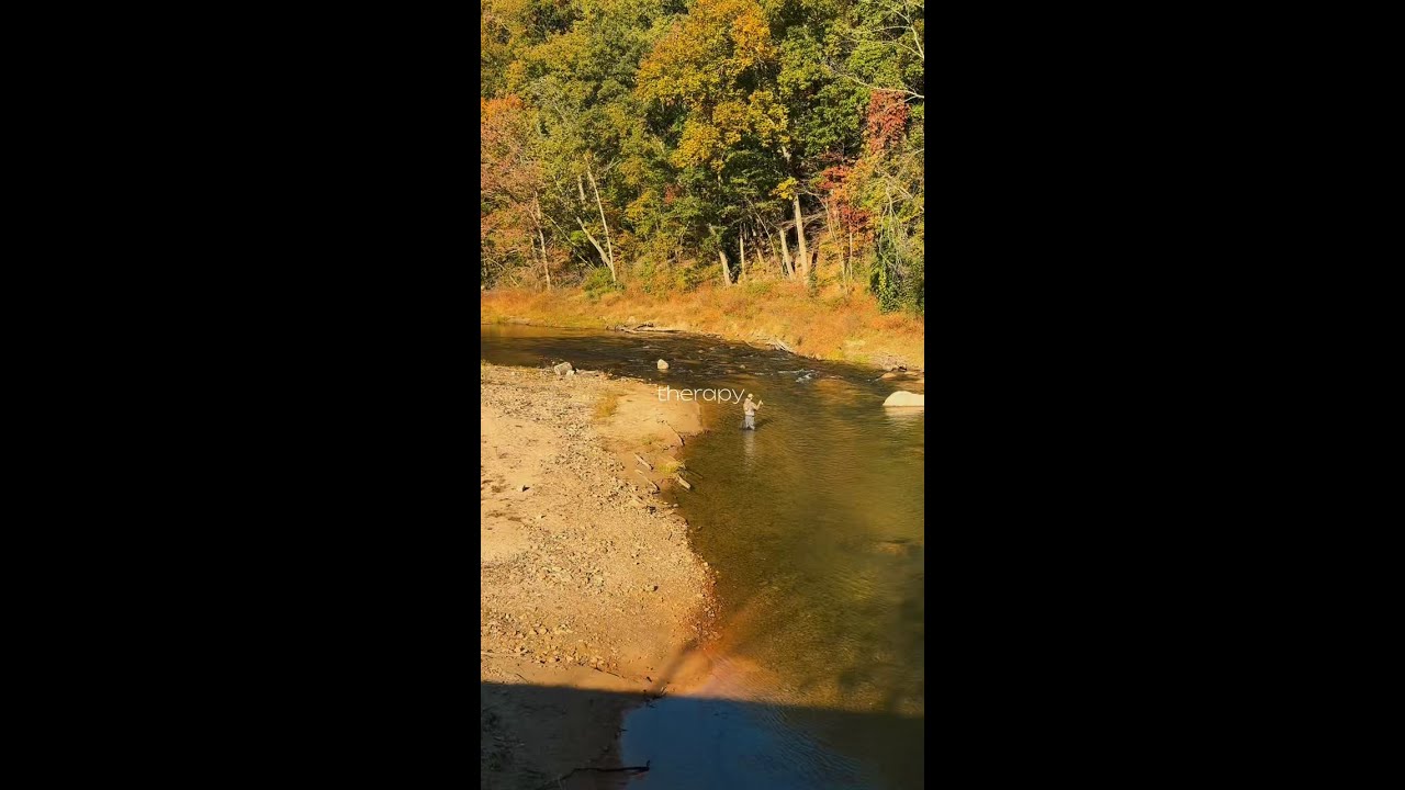 Wilderness Cove Campground | Saluda, North Carolina