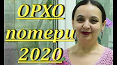 Орхидеи,узамба́рские фиалки,Самара🌺
