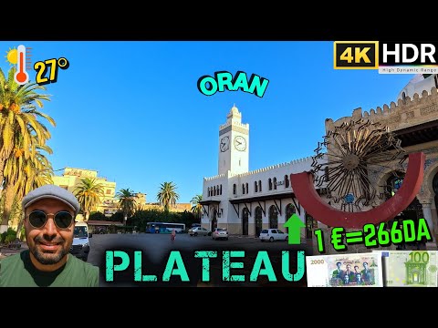 QUIET MORNING ON THE ORAN PLATEAU THE CALM BEFORE THE HUSTLE 1 266DA 27 408 