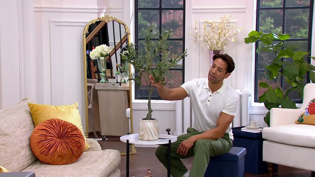 Cozy Cottage by Liz Marie 35" Faux Olive Tree Tree on QVC