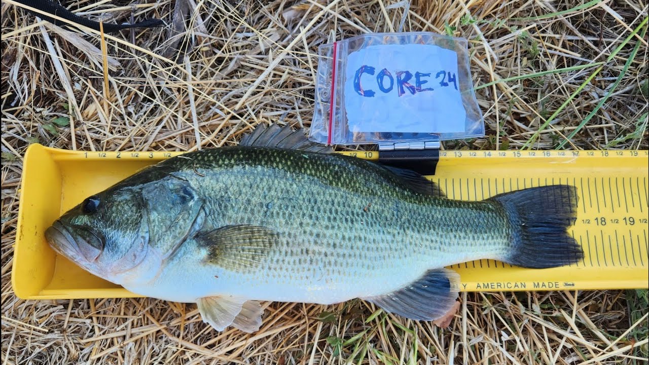 Bank fishing in Sacramento to bass & striper fishing in the delta