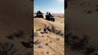 tha team search #iran #trending #trending #turmp #usa #war #ai