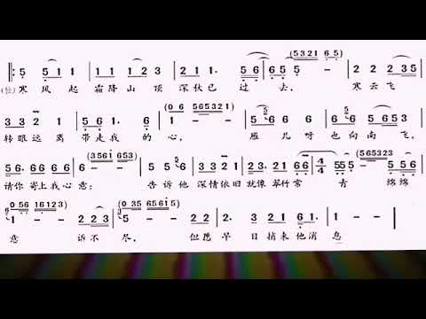 冬恋bE调简谱伴奏
