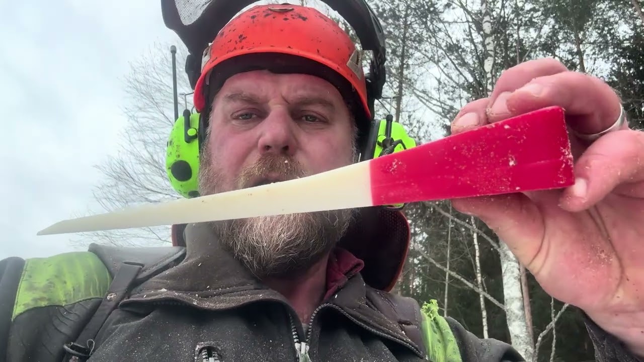 Lite om säkerhet och en hel del träd fällda 