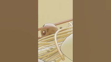 Cute soup 3D modeling in Blender | Yummy! 3D Food Series .#shorts #blender