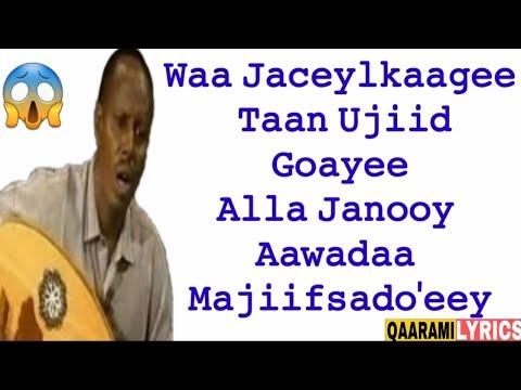 Cumar Dhuule Heesti Alla Janooy aawadaa Majiifsado Lyrics  ||𝚀𝚊𝚊𝚛𝚊𝚖𝚒 𝙻𝚢𝚛𝚒𝚌𝚜||