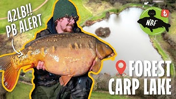 How to Approach New Waters for Carp Fishing Success 🐟💥 (PB Alert!🚨)