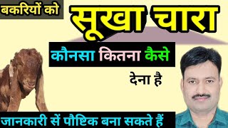 bakri ko sukha chara बकरी का सूखा चारा sukha chara for goat/ bakri ke liye sukha chara