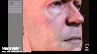 tonysculptor marmoset eyes