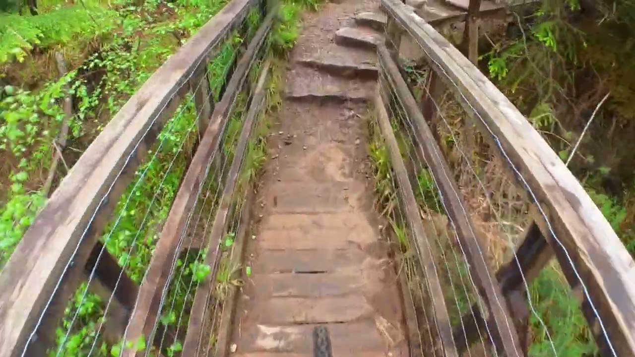 Fyrish Run MTB Top to Bottom