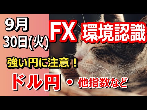 【TAKA FX】強い円に注意　ドル円他各通貨の環境認識解説。各種指数、GOLDなど　9月30日(火)