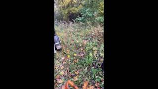 картинка: На копе# копвпосадке #копметаллоломавлесу #копметалл #коп2025 #копсметаллоискателем2025 #металлокоп
