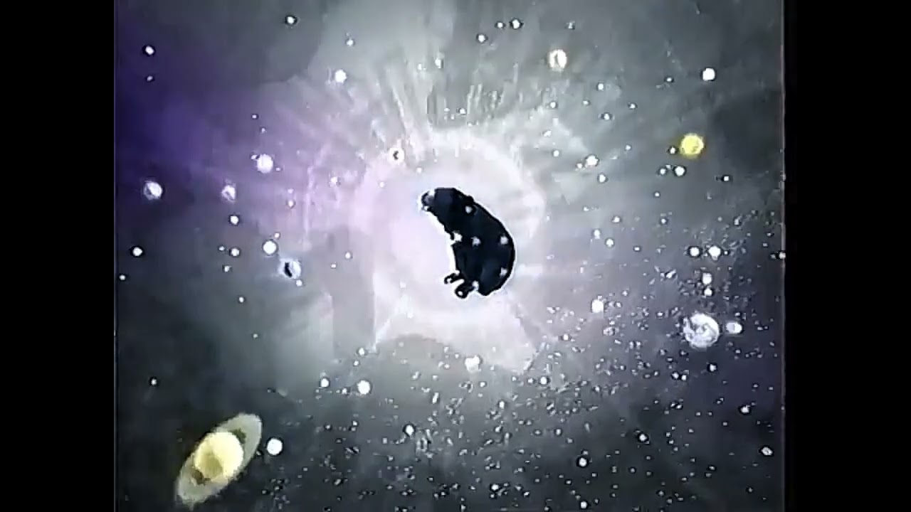 Заставки СТС Ладья 2004