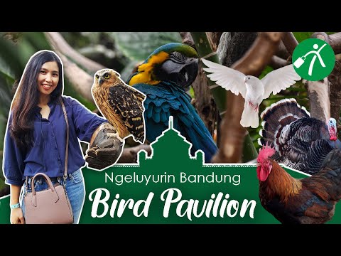 Keluyuran ke Rumah Para Burung di Bird Pavilion Bandung Keluyuran ke Rumah Para Burung di Bird Pavilion Bandung