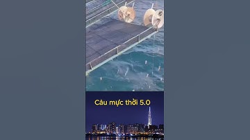 câu mực thời công nghệ 5.0