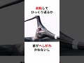飾りつけながら飛んでた「ニクトサウルス」 #生き物 #2ch #動物 #2ch面白いスレ