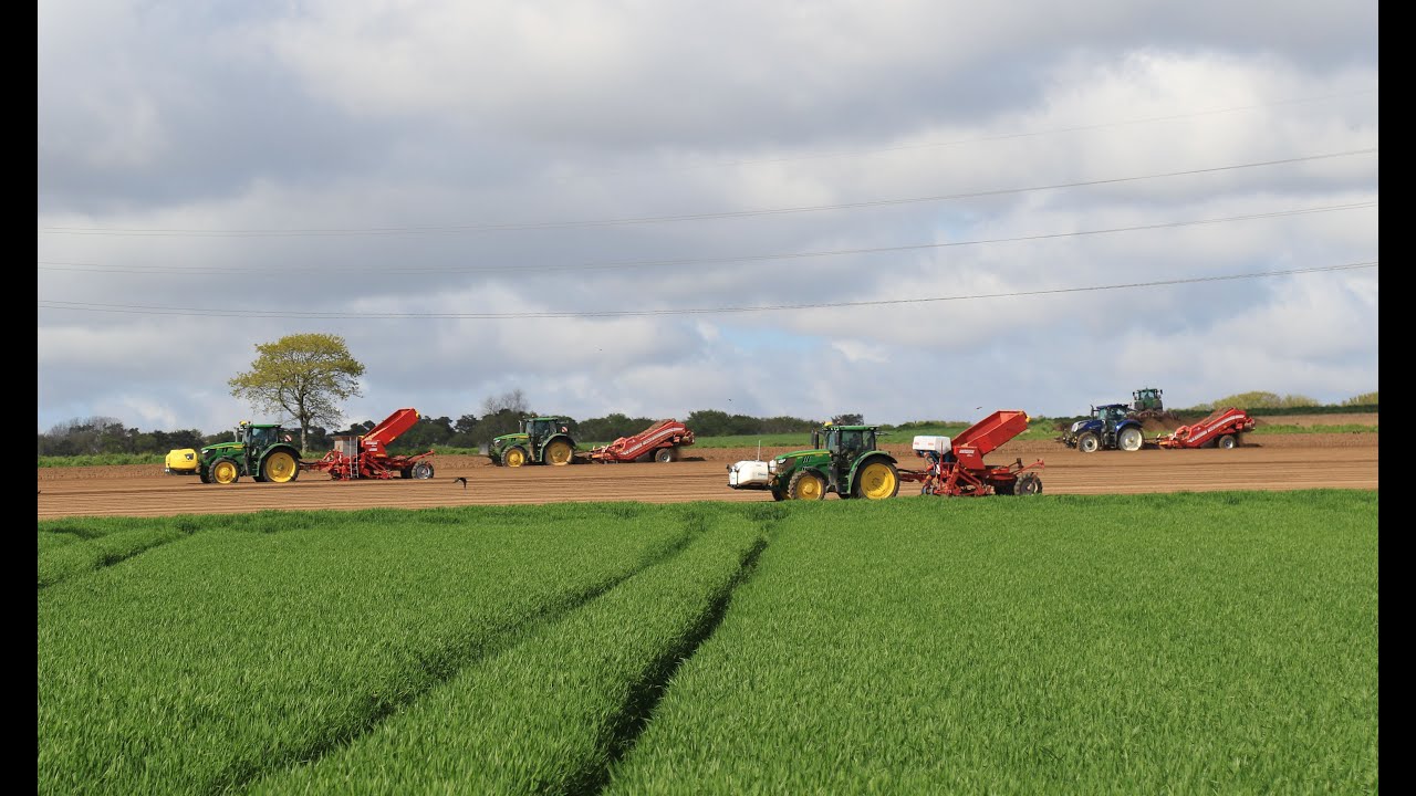 Chantier de Plantation de pomme de terre XXL, du déchaumeur aux planteuses, John Deere/ New Holland
