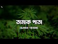 Tamak Pata Slowed Reverb Ashes Bangladesh Bangla Lofi Music Slowed World Tamak Pata Slowed Reverb Ashes Bangladesh Bangla Lofi Music Slowed World
