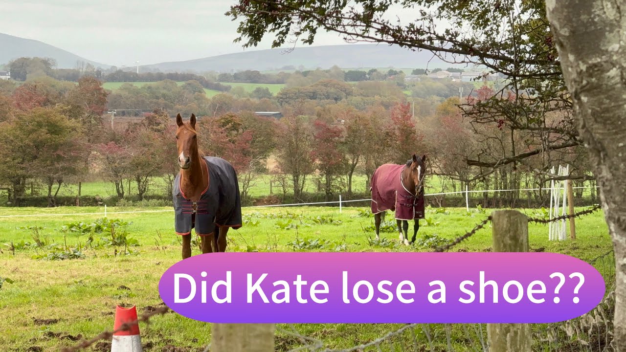 A day in the life with me FRIDAY EDITION | 