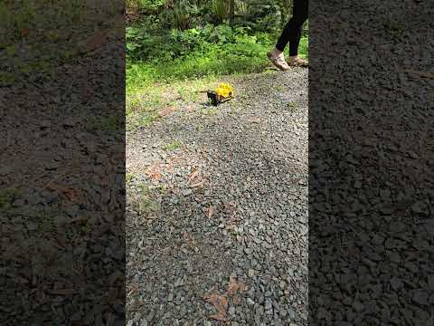 Tractor crush part 3 #crushexperiment #asmrcrush #modelcarcrush #sandals #Pebbles