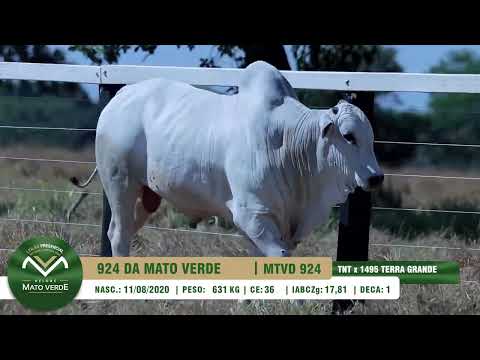 LOTE 29   MTVD 924