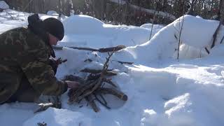 Прогулка  с собаками , По зимнему лесу