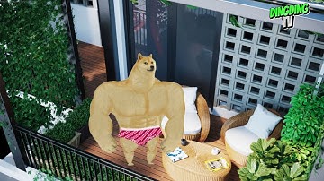 ALIBABA CHẾ PHIÊN BẢN CHEEMS