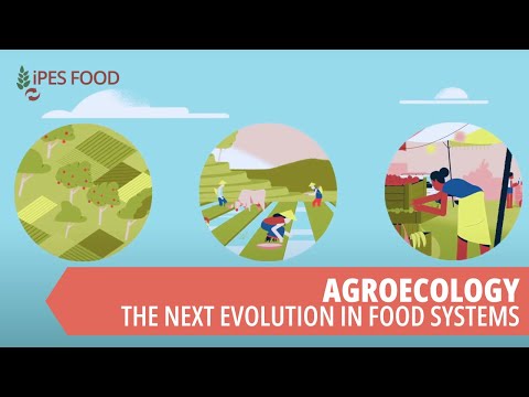 Agroecology - the next evolution in food systems